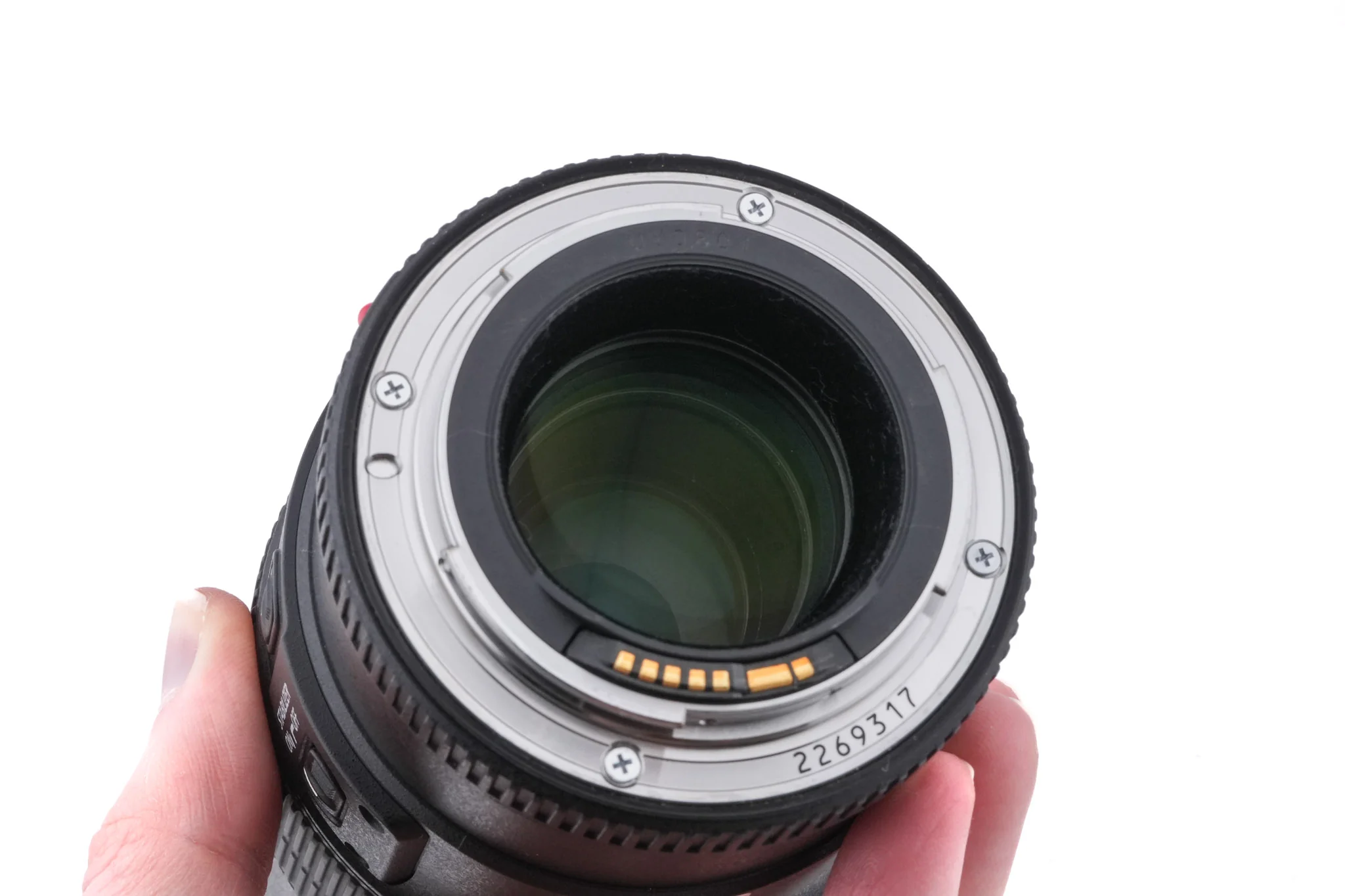 Canon 100mm f2.8 L Macro IS USM - Image 4