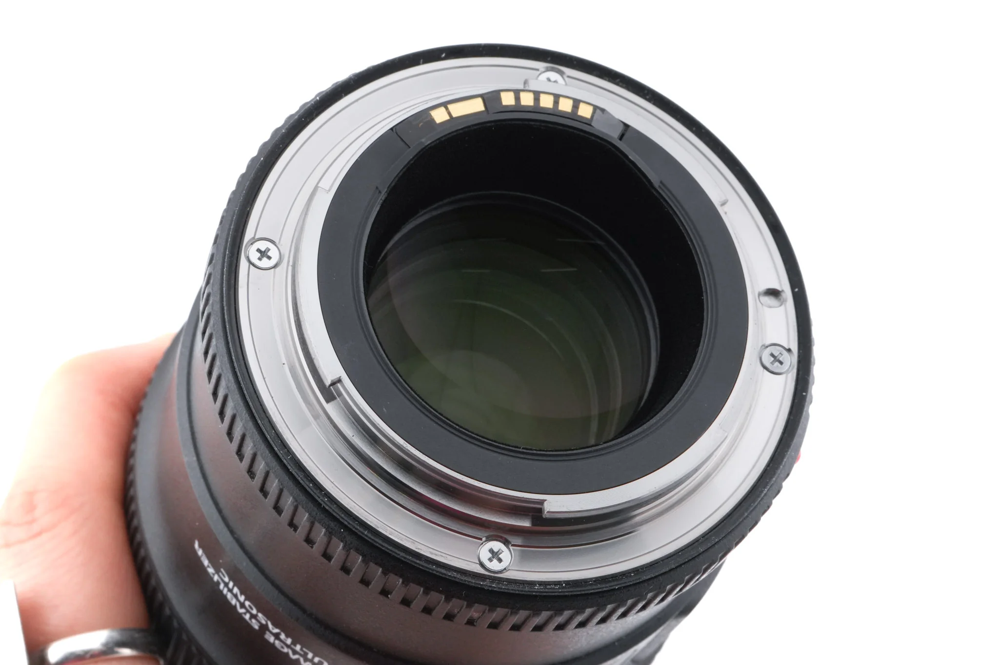 Canon 100mm f2.8 L Macro IS USM - Image 6