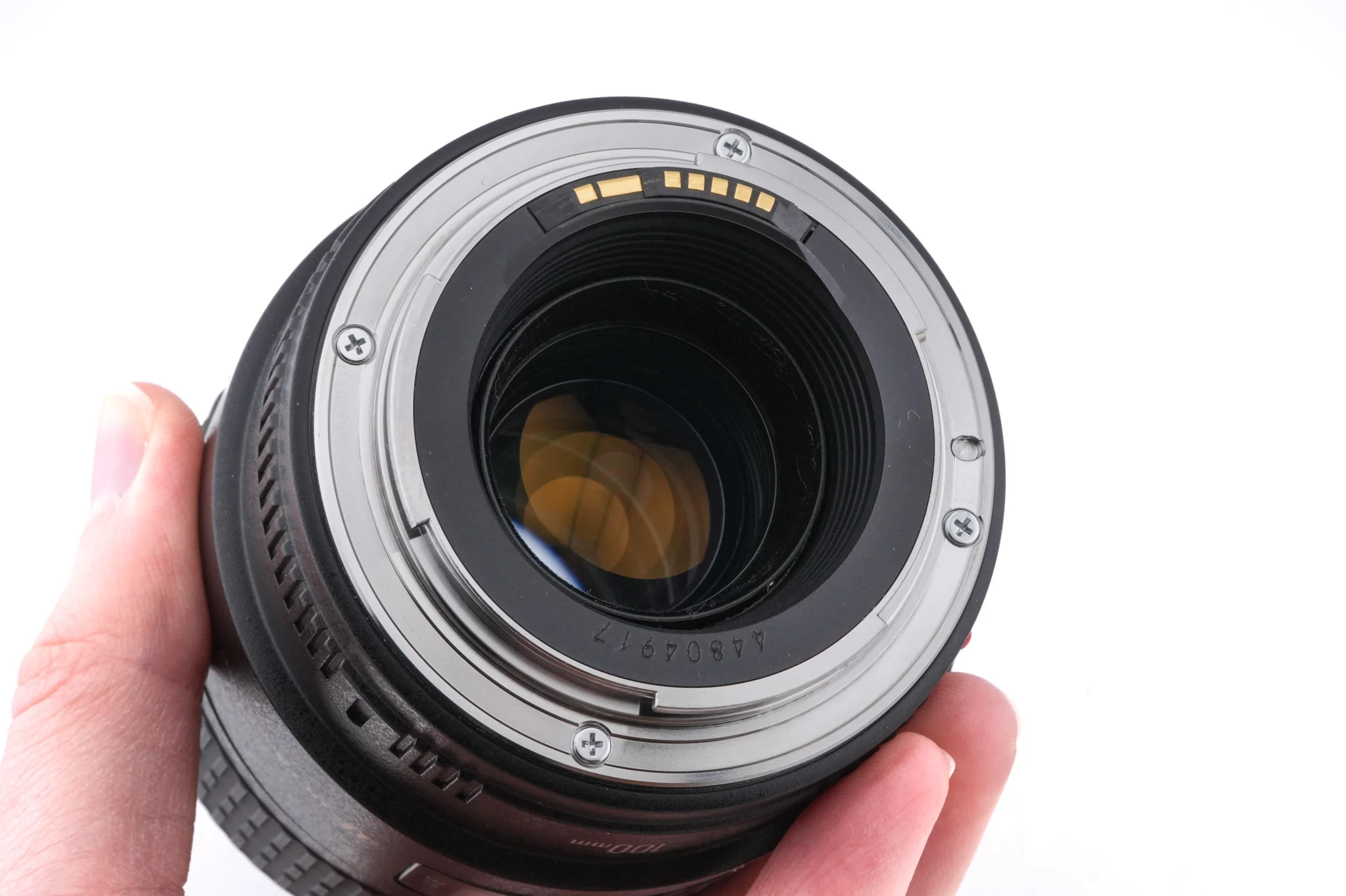 Canon 100mm f2.8 Macro USM - Image 6
