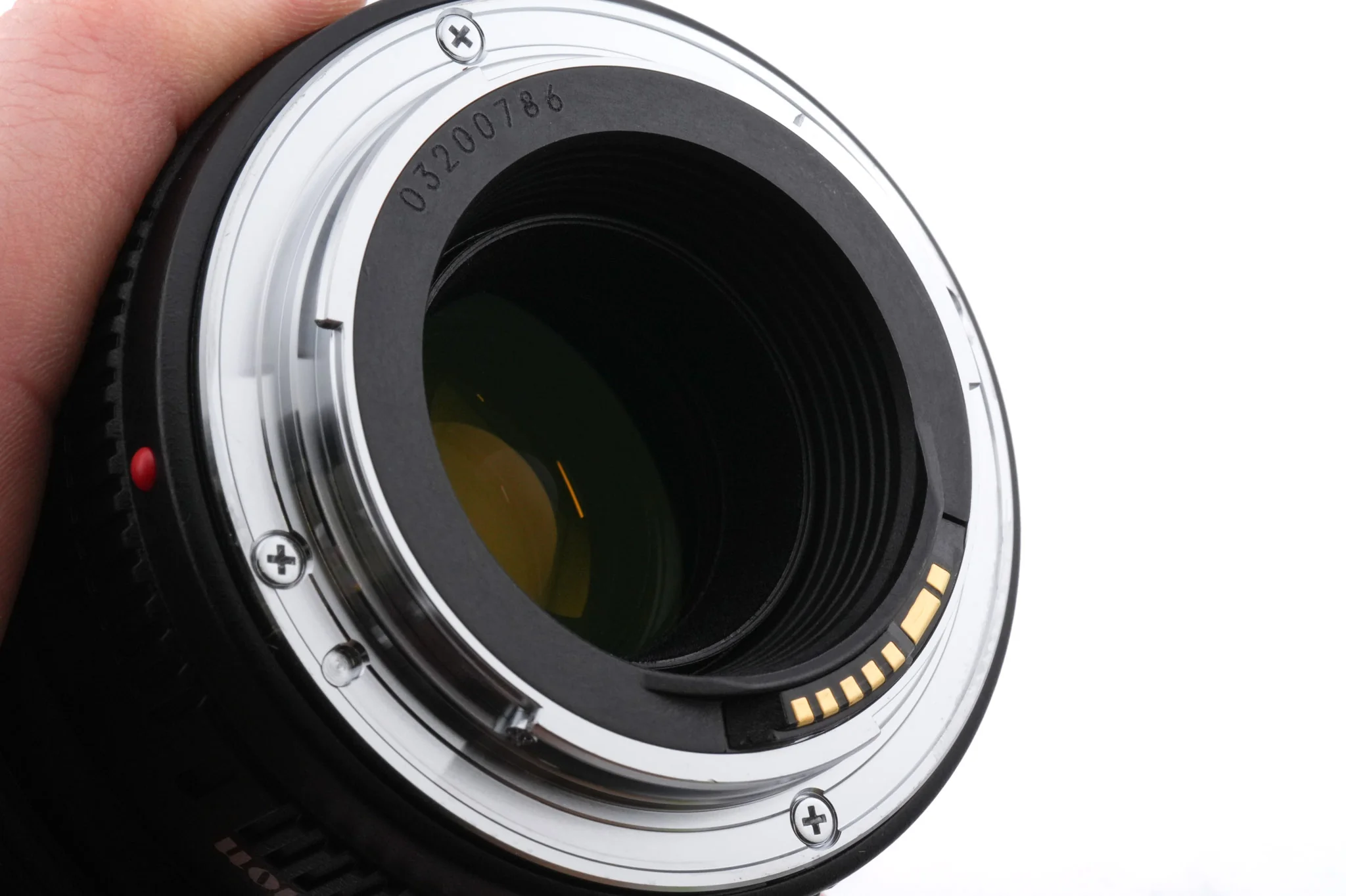 Canon 100mm f2.8 Macro USM - Image 6