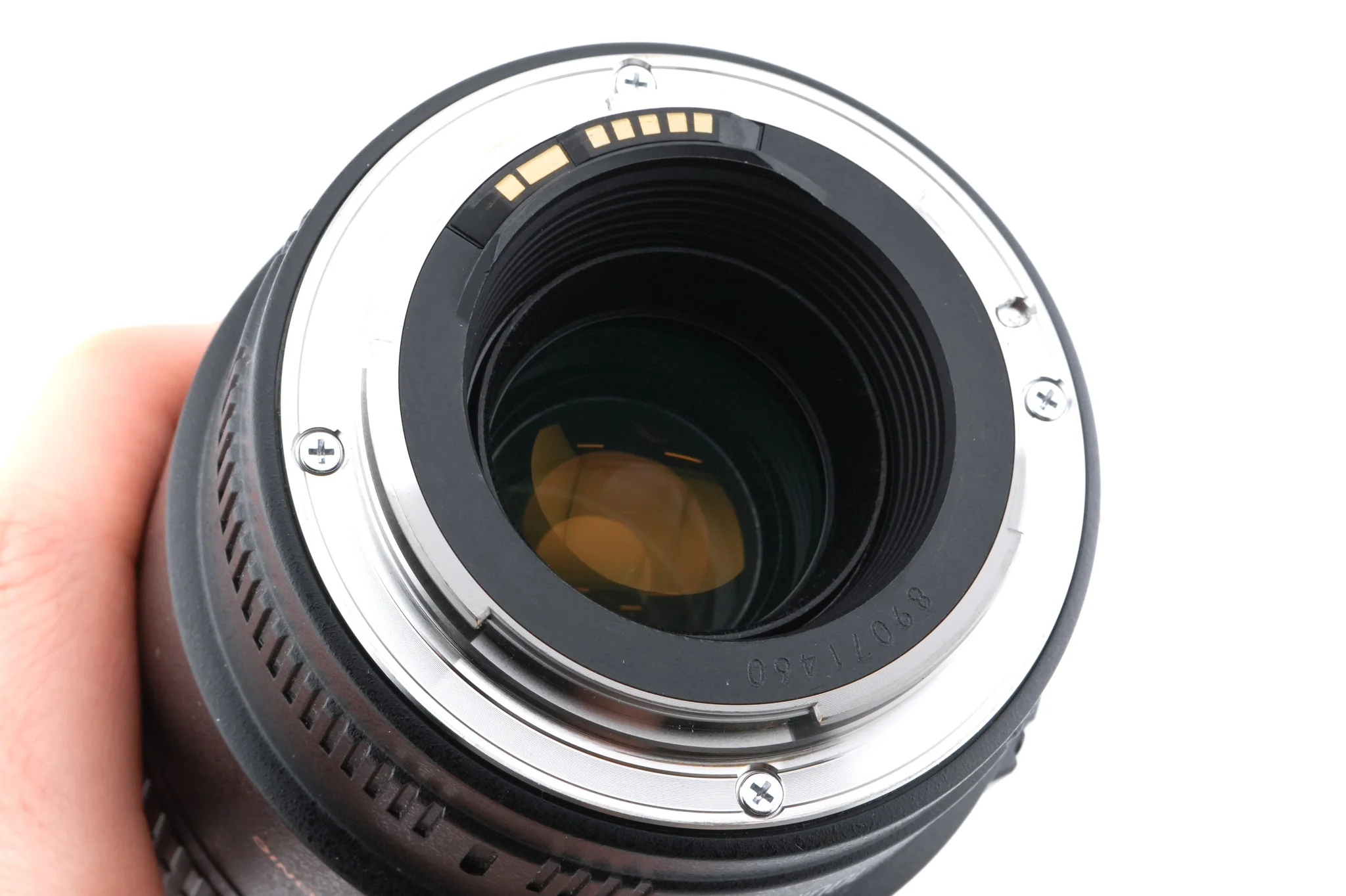 Canon 100mm f2.8 Macro USM - Image 6