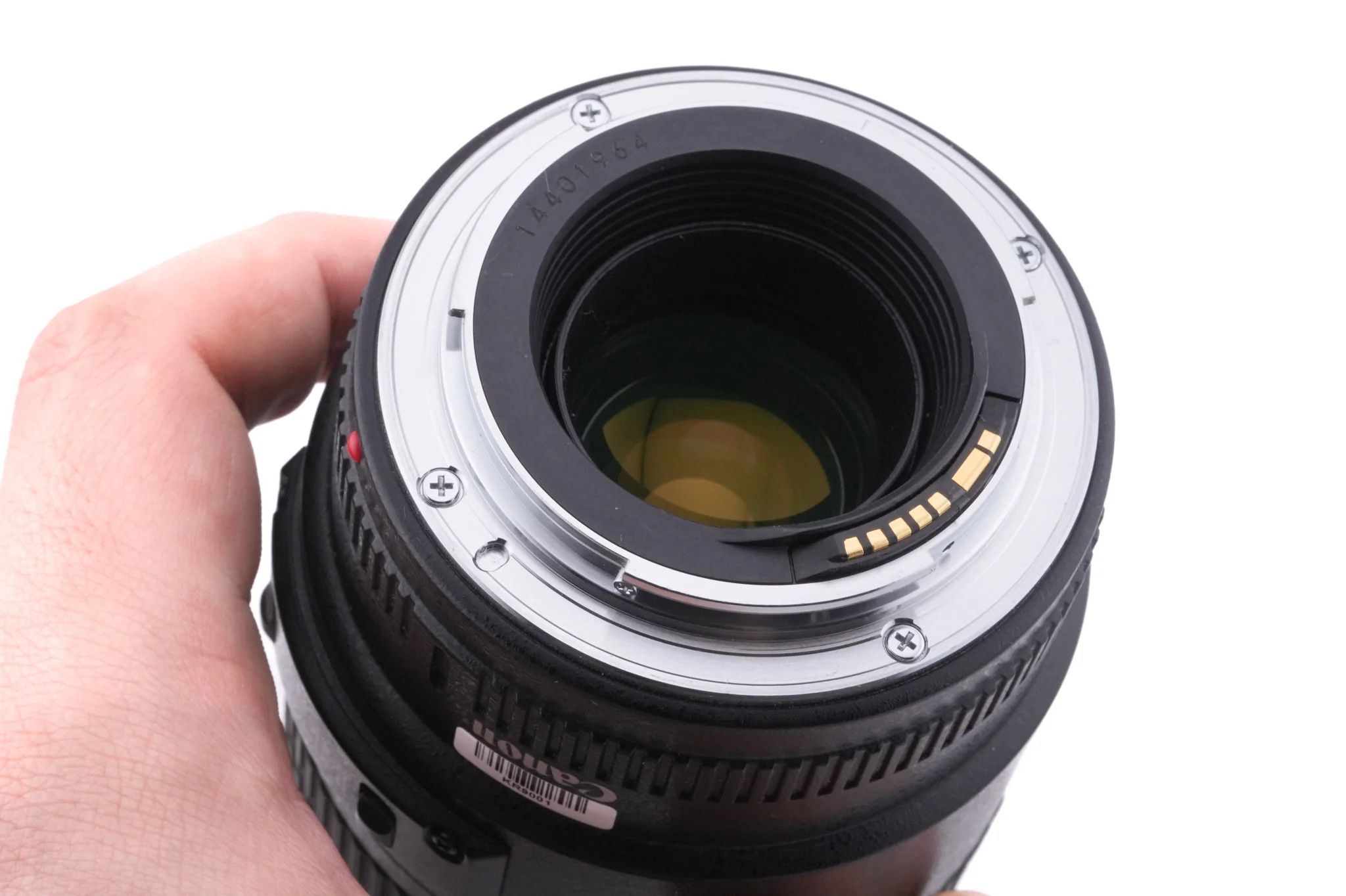 Canon 100mm f2.8 Macro USM - Image 4
