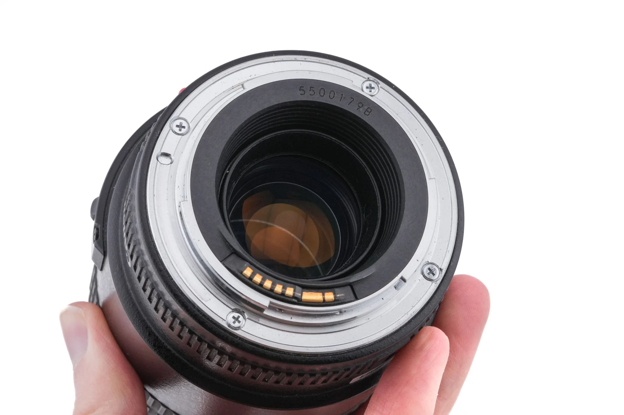 Canon 100mm f2.8 Macro USM - Image 4