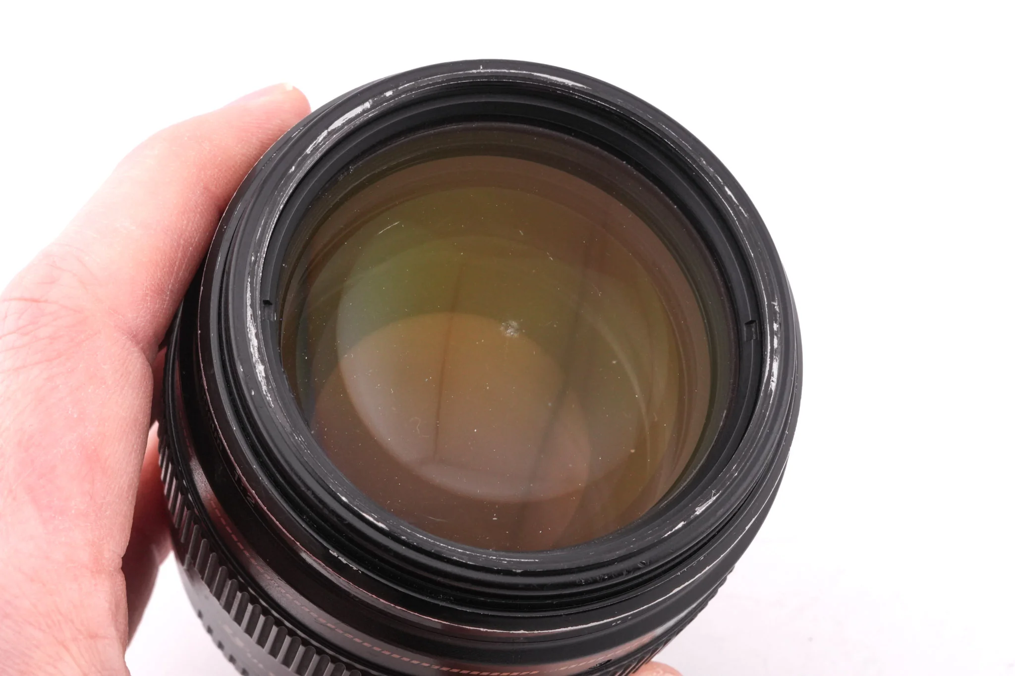 Canon 100mm f2 USM - Image 5