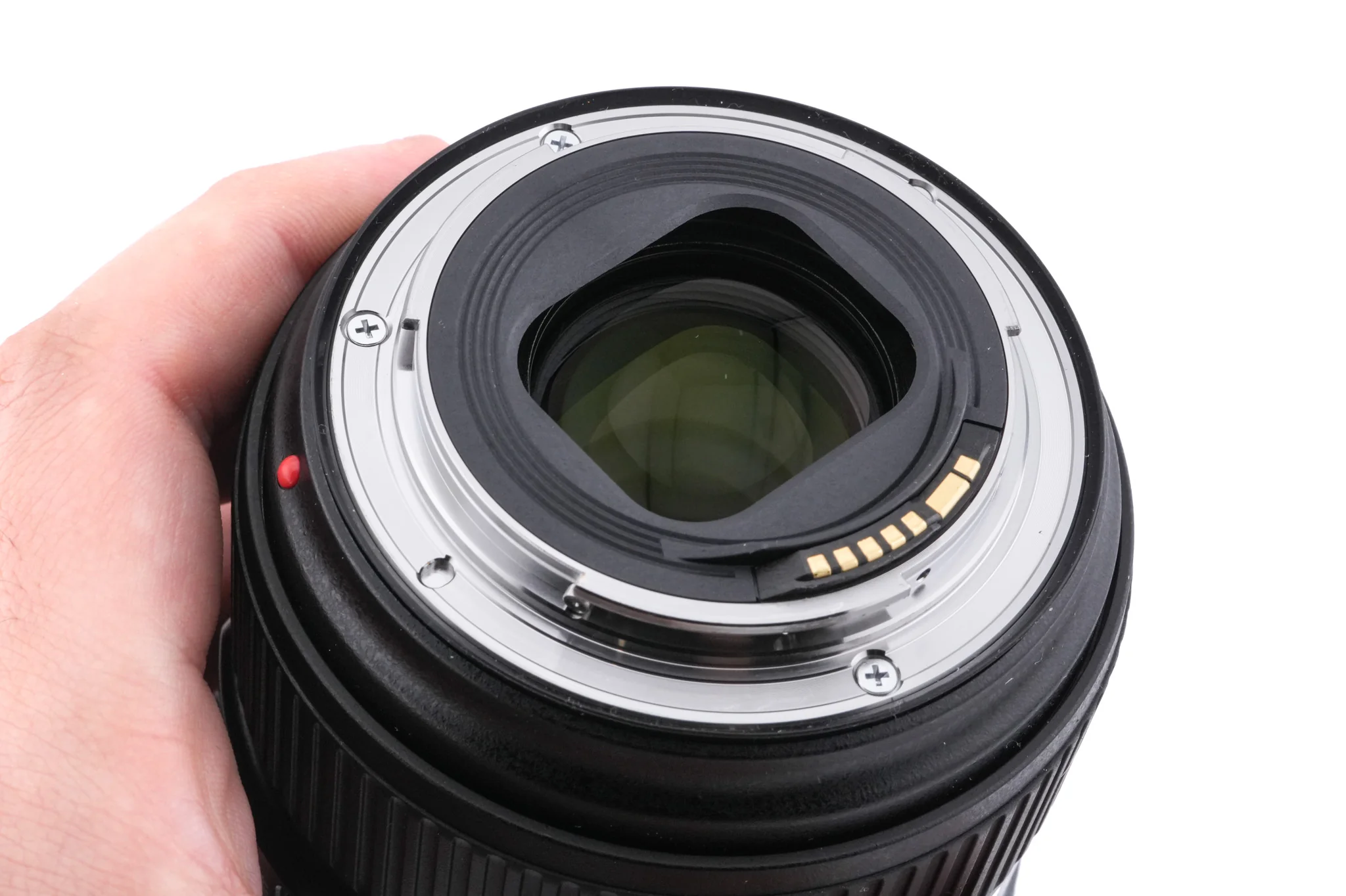 Canon 24-105mm f4 L IS II USM - Image 6