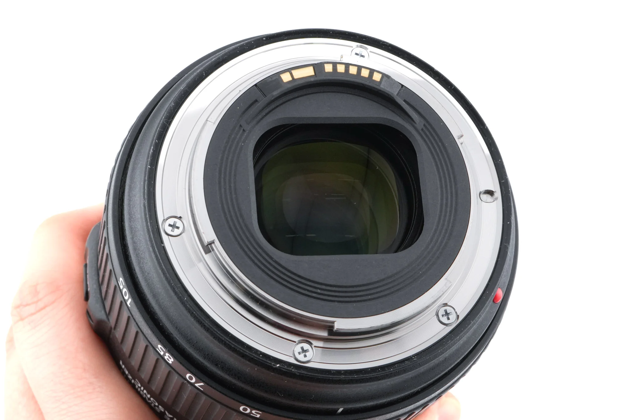 Canon 24-105mm f4 L IS II USM - Image 6