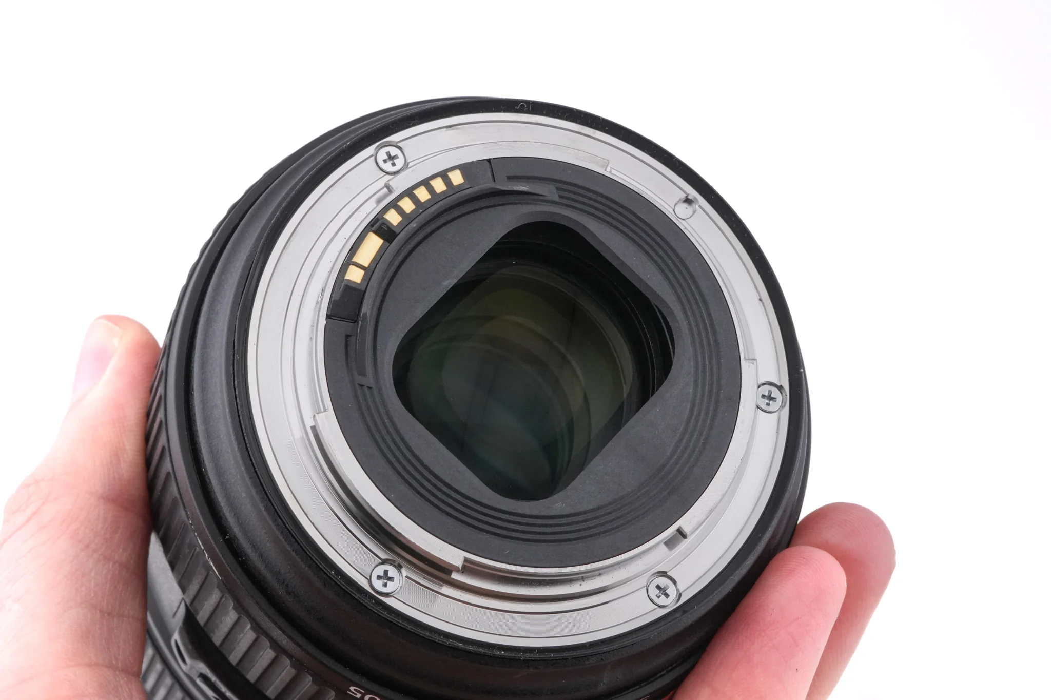 Canon 24-105mm f4 L IS II USM - Image 6