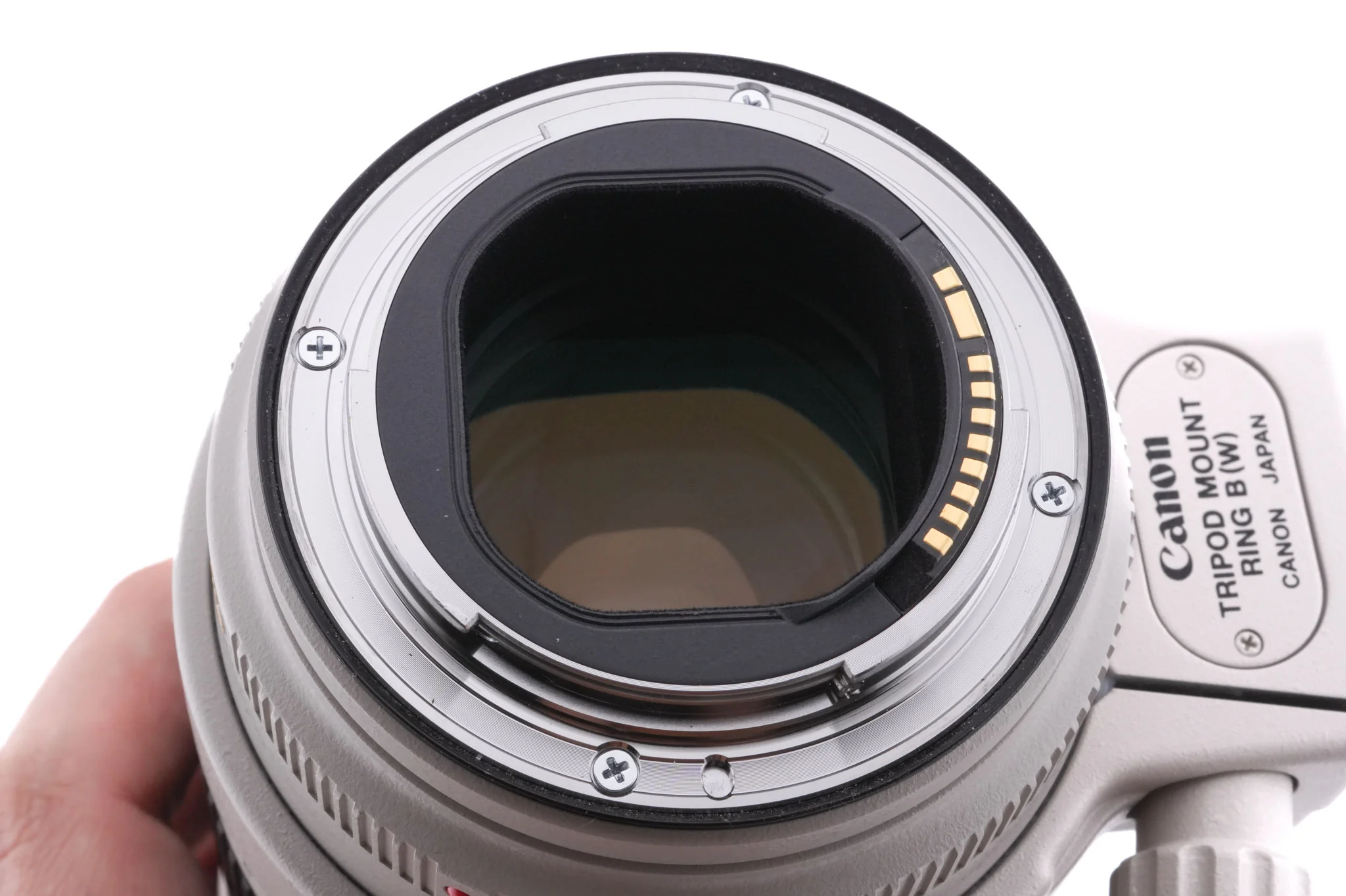 Canon 70-200mm f2.8 L IS II USM - Image 7