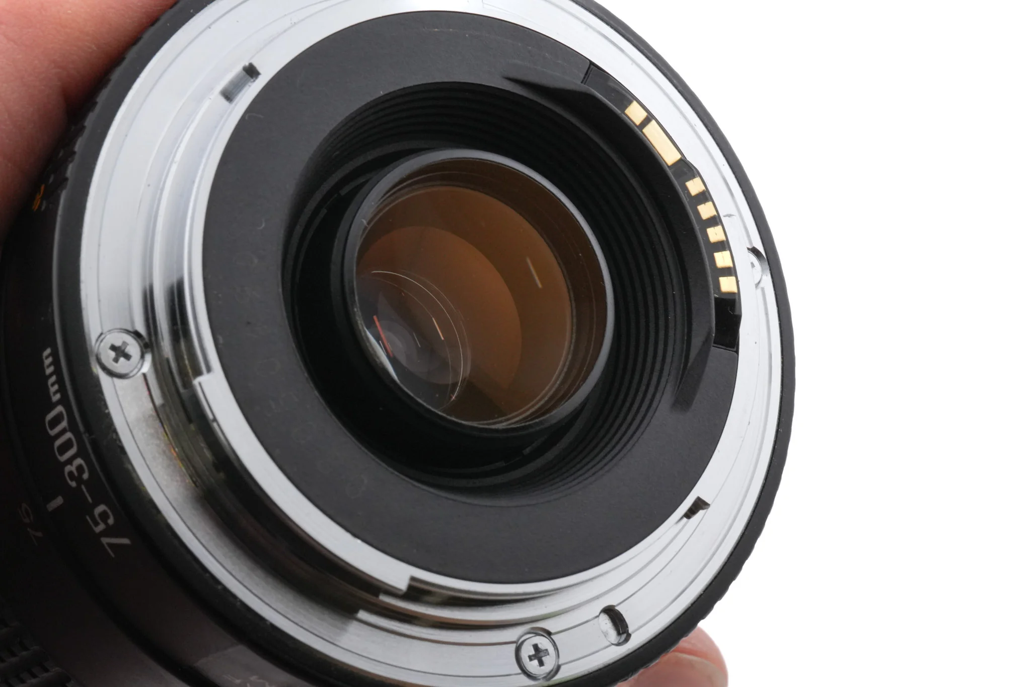 Canon 75-300mm f4-5.6 II - Image 4