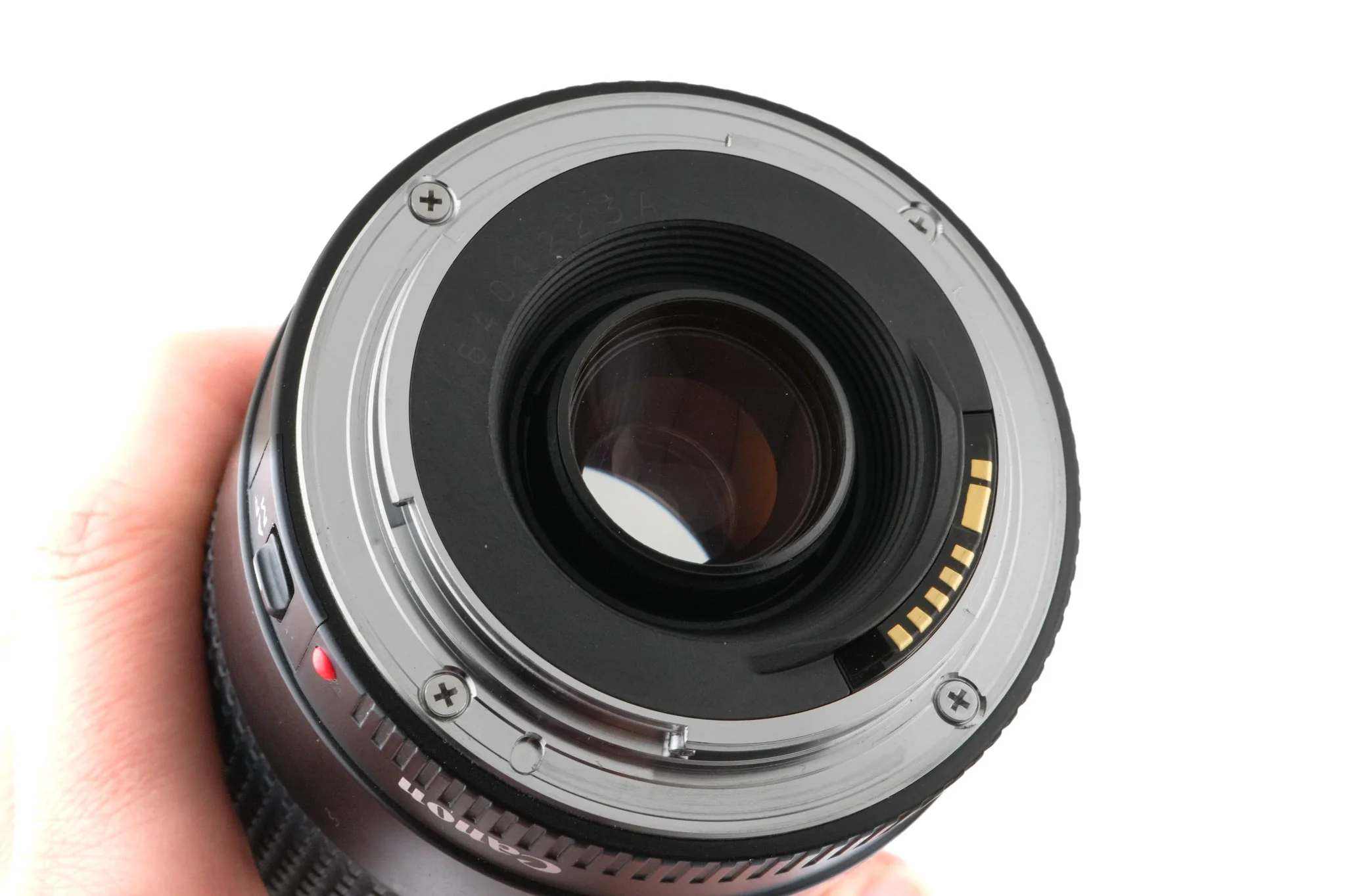 Canon 75-300mm f4-5.6 II - Image 4