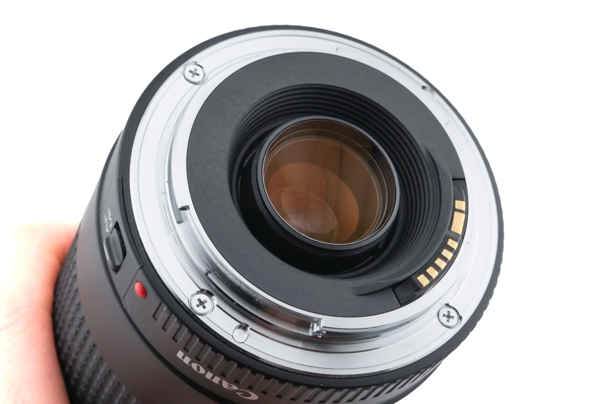 Canon 75-300mm f4-5.6 II - Image 4