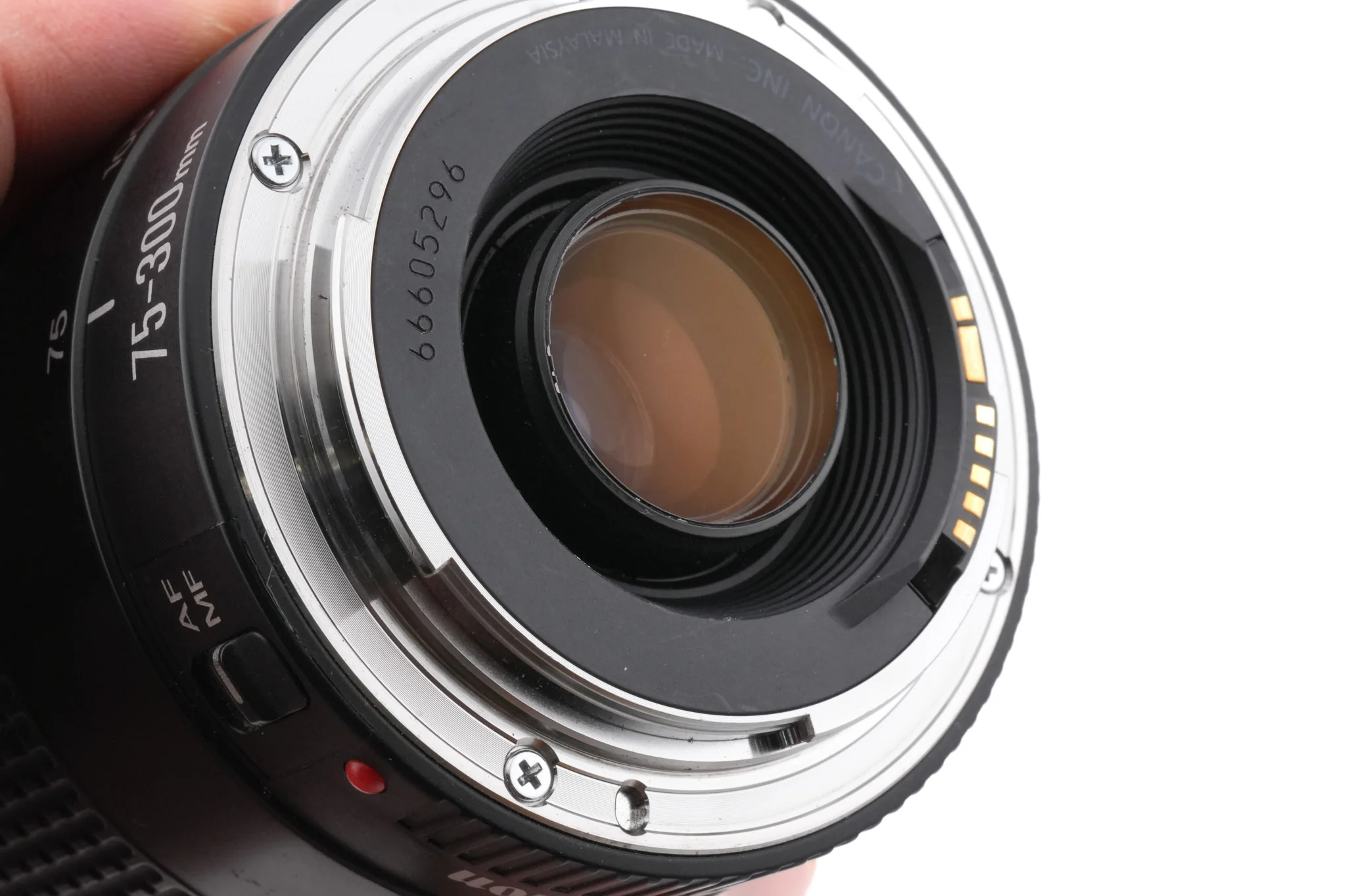 Canon 75-300mm f4-5.6 III - Image 4