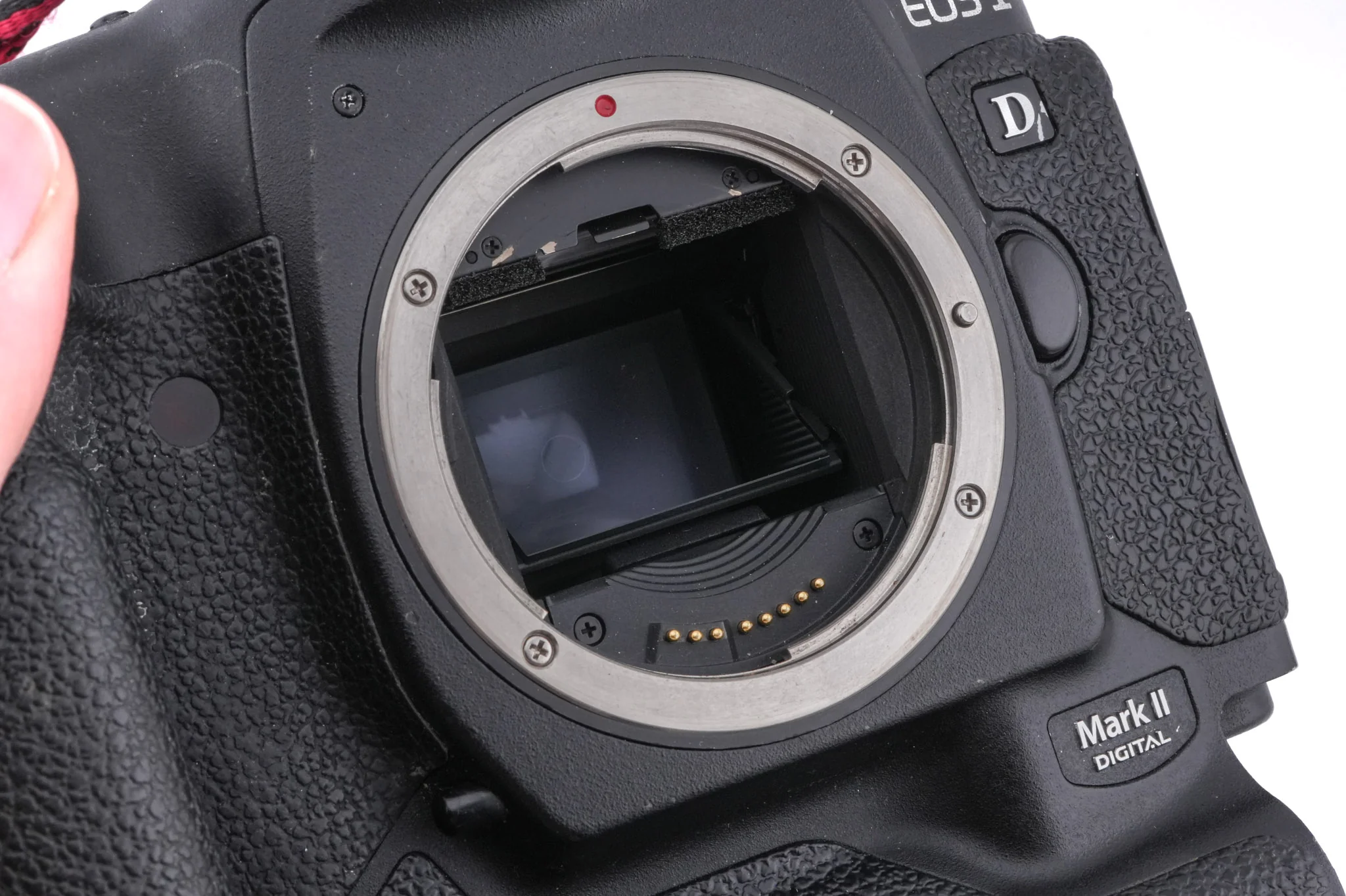Canon EOS 1D Mark II - Image 5