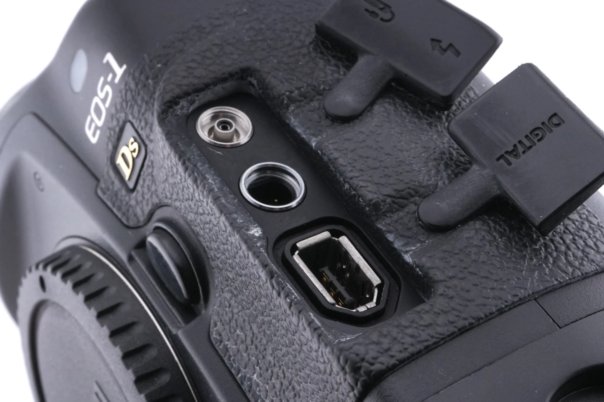 Canon EOS 1DS - Image 6