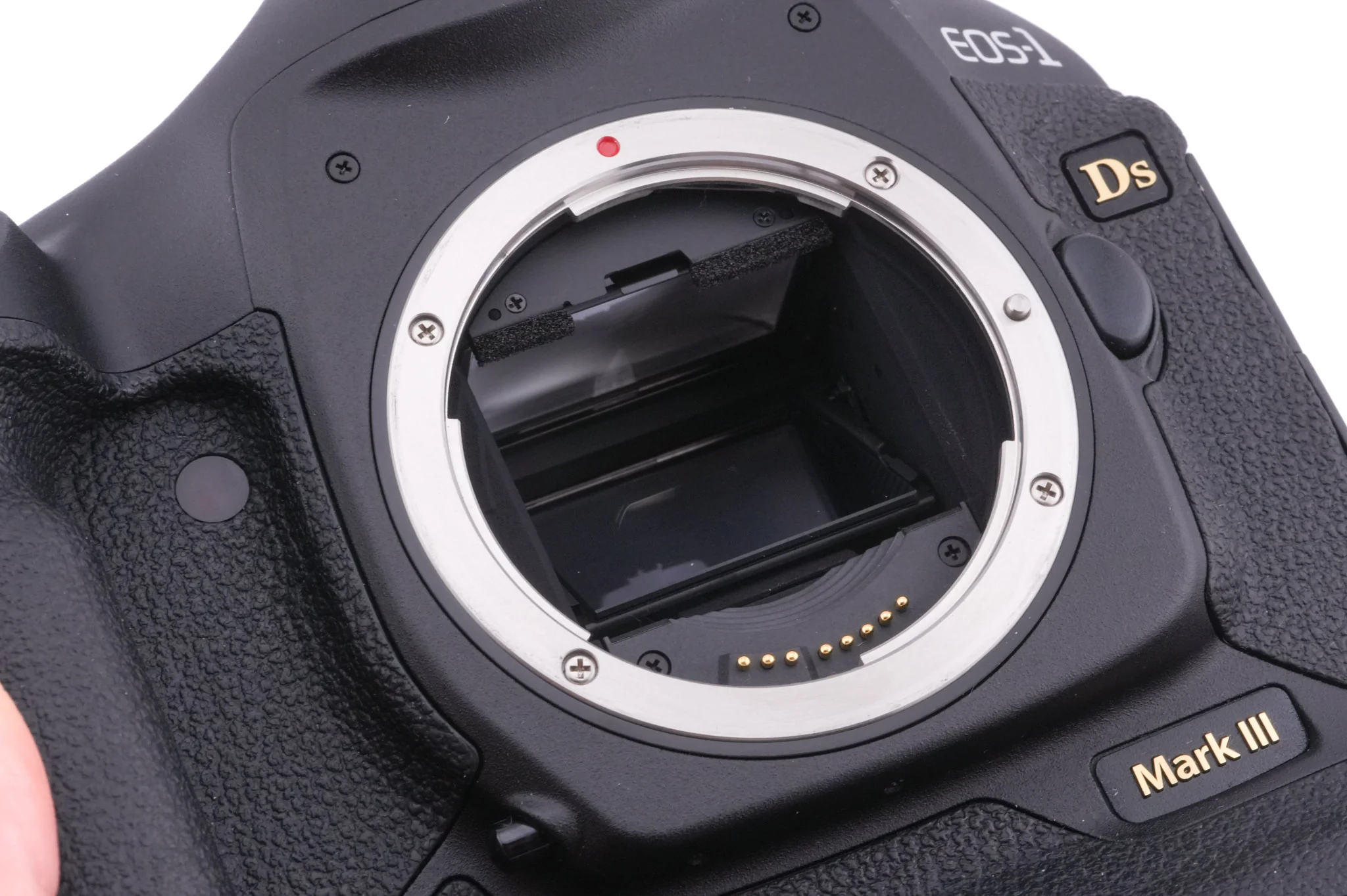 Canon EOS 1Ds Mark III - Image 6