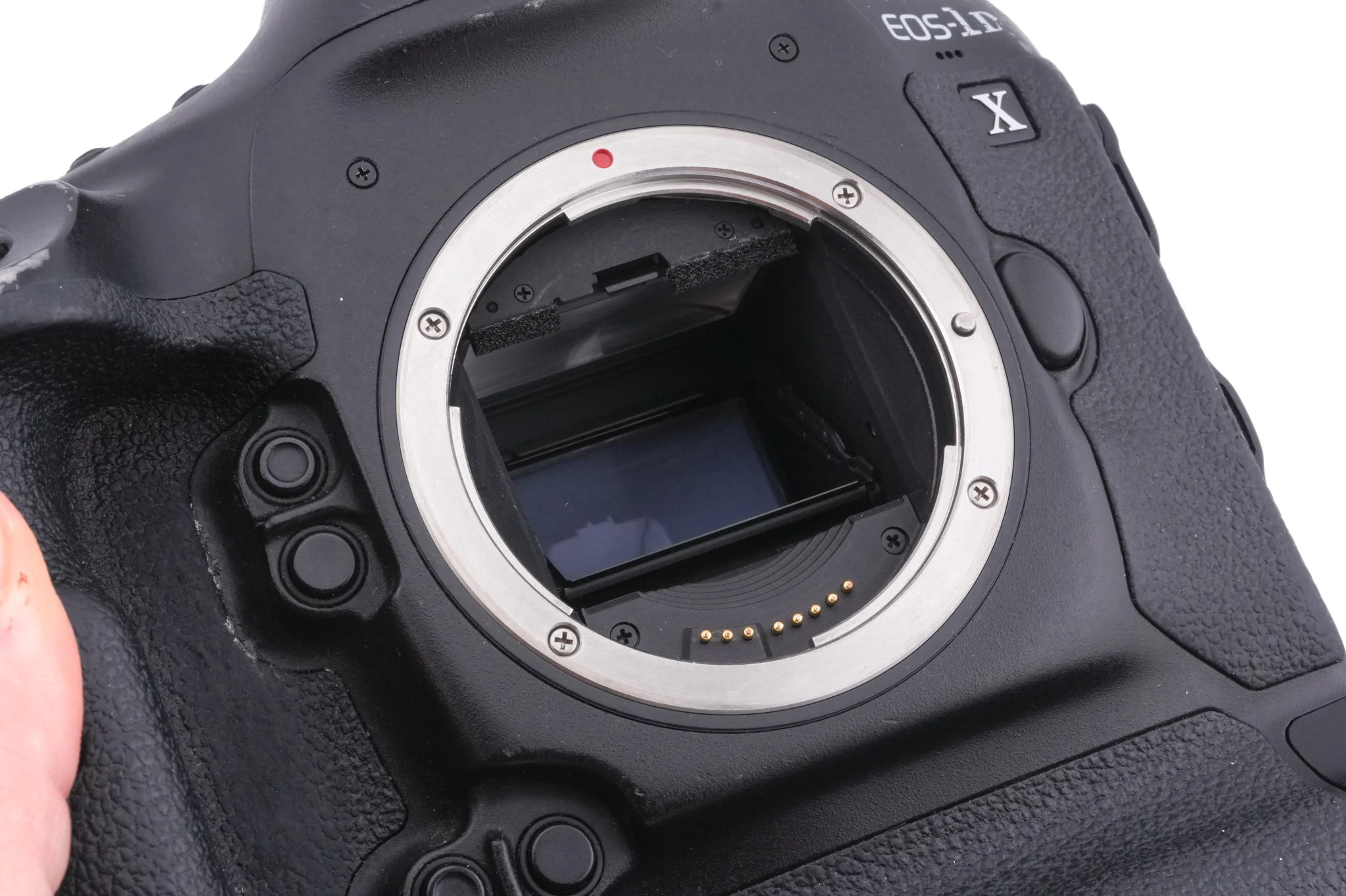 Canon EOS 1DX - Image 6