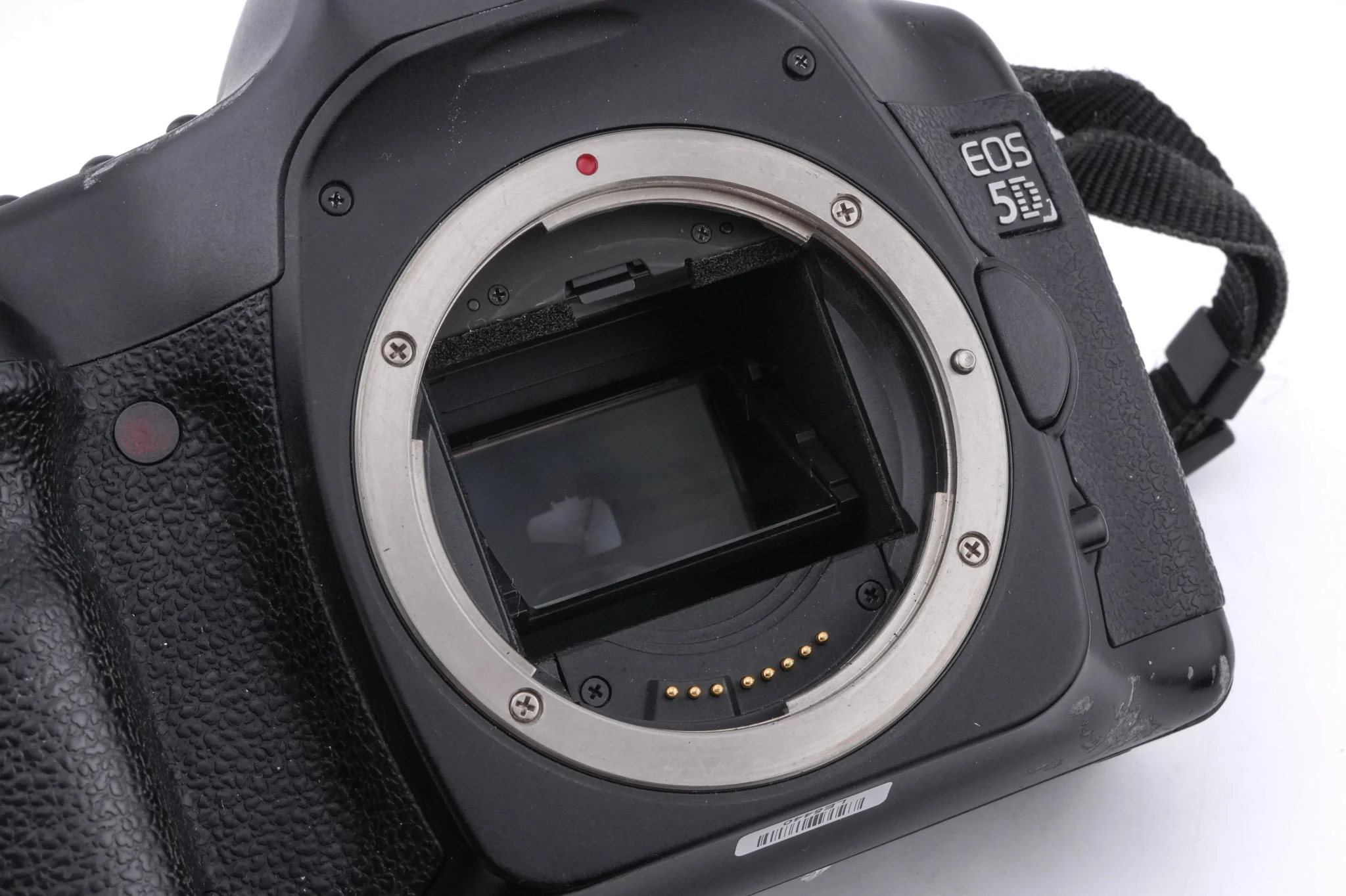 Canon EOS 5D - Image 8