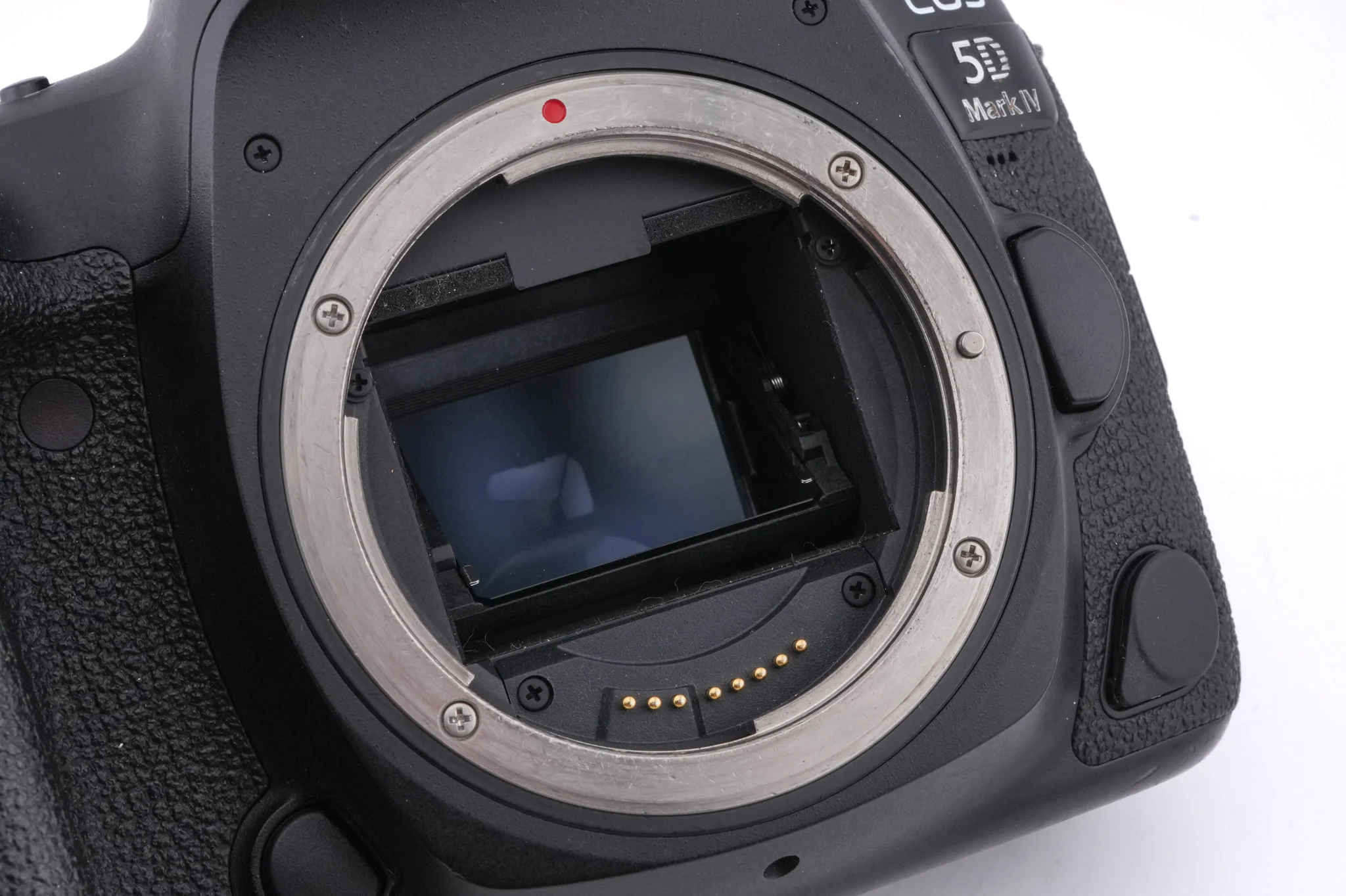 Canon EOS 5D Mark IV - Image 8