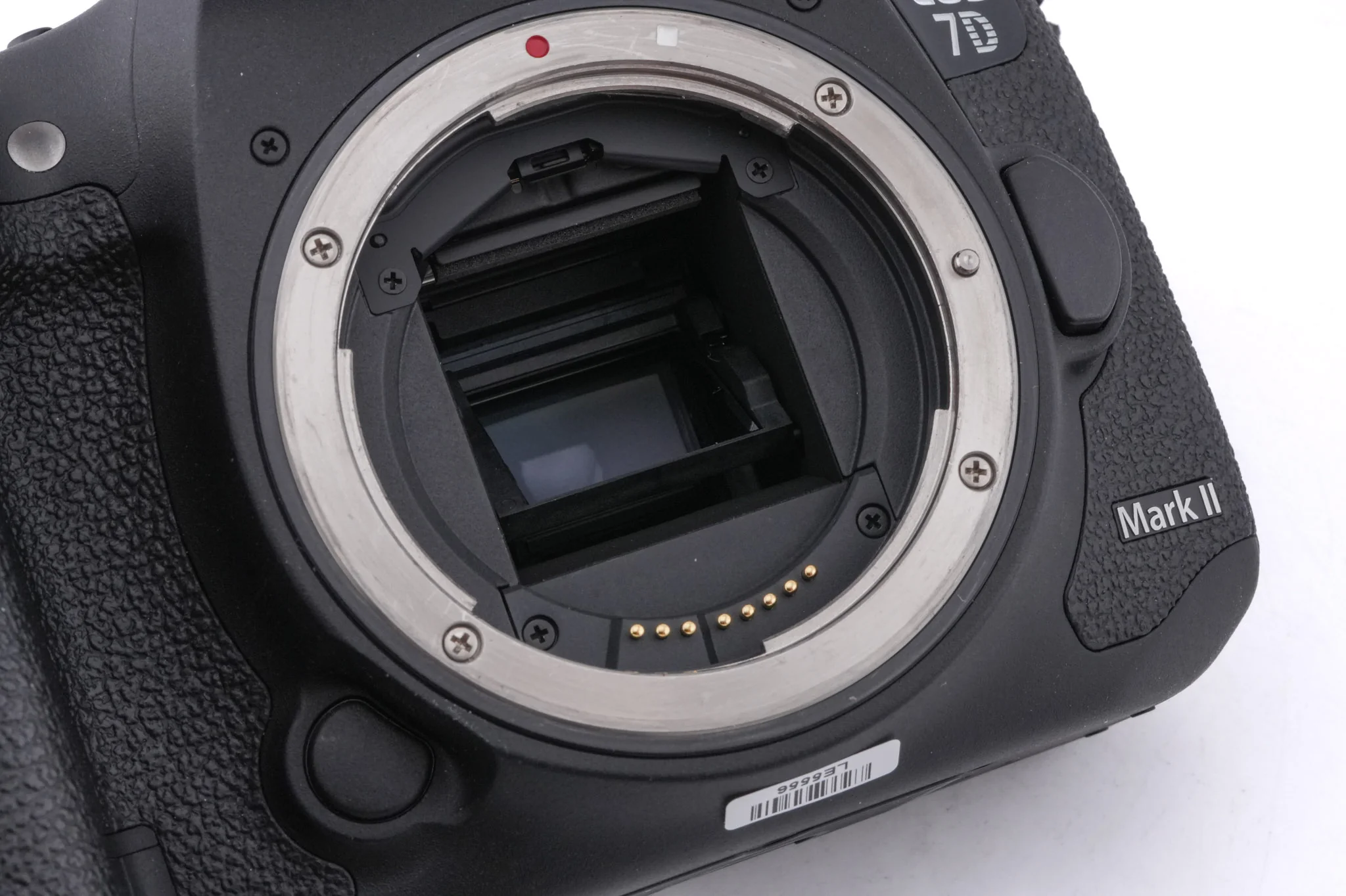 Canon EOS 7D Mark II - Image 8