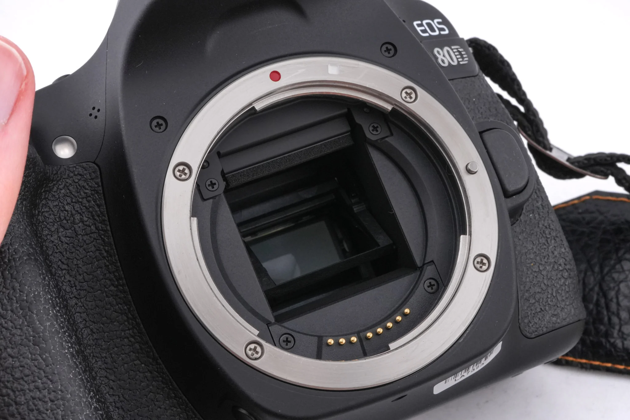 Canon EOS 80D - Image 8