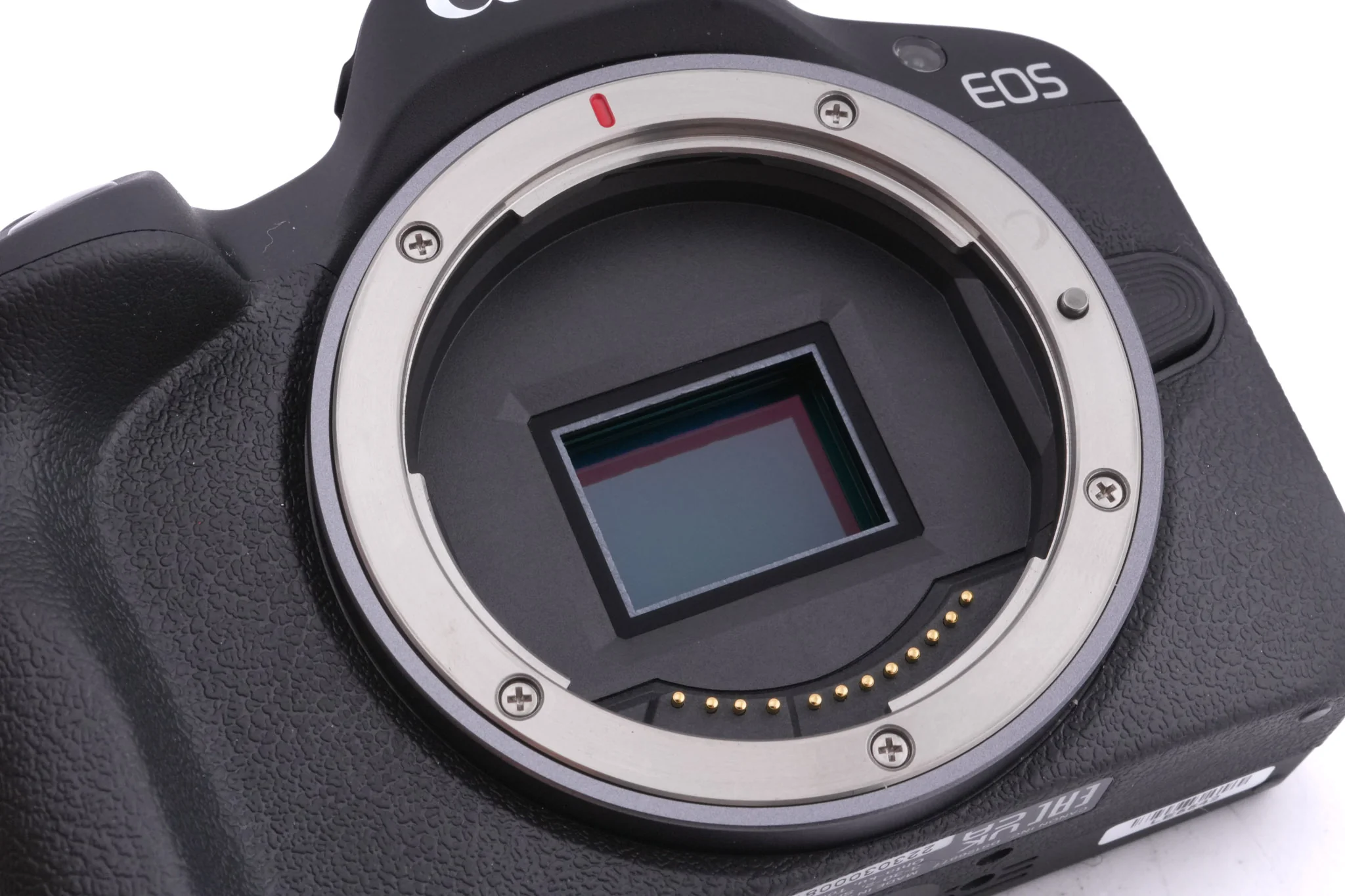 Canon EOS R50 - Image 5