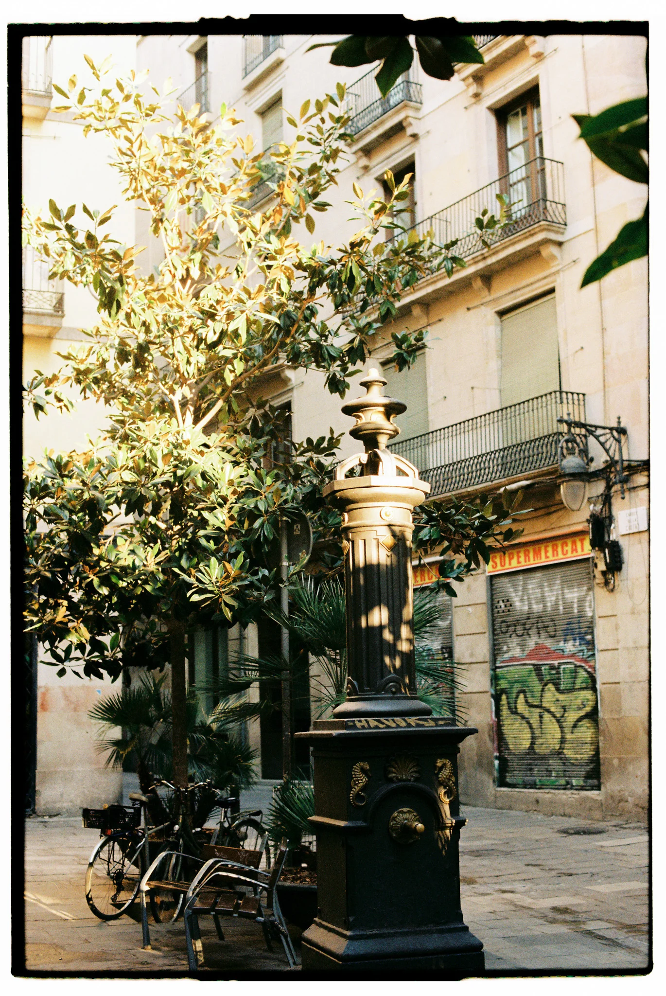 Kodak Gold 200 (35mm) 24 Exp. 3-Pack - Image 8