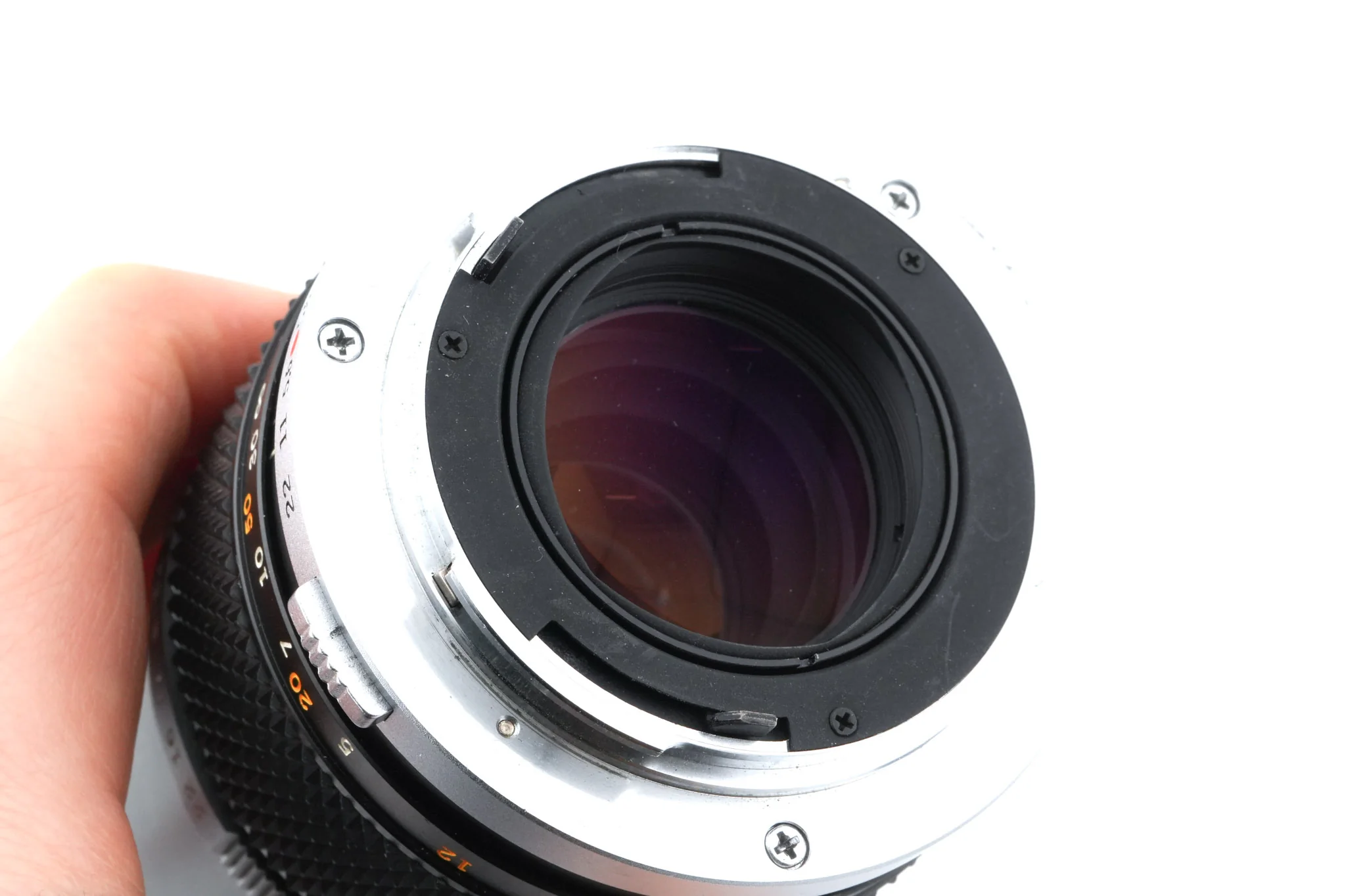 Olympus 135mm f3.5 Zuiko Auto-T - Image 4