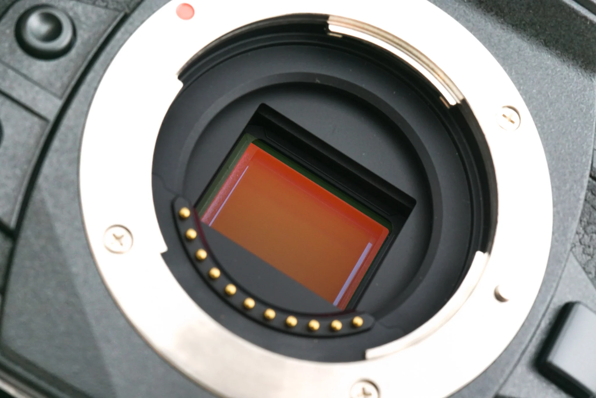 Olympus OM-D E-M1 Mark II - Image 7