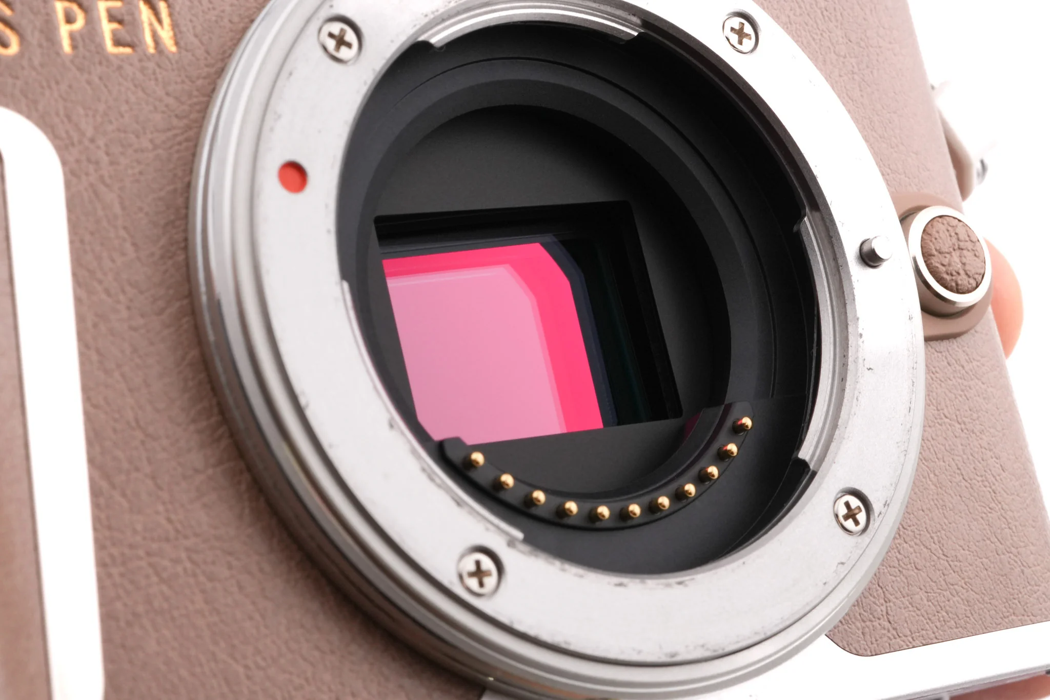Olympus PEN E-PL10 - Image 5