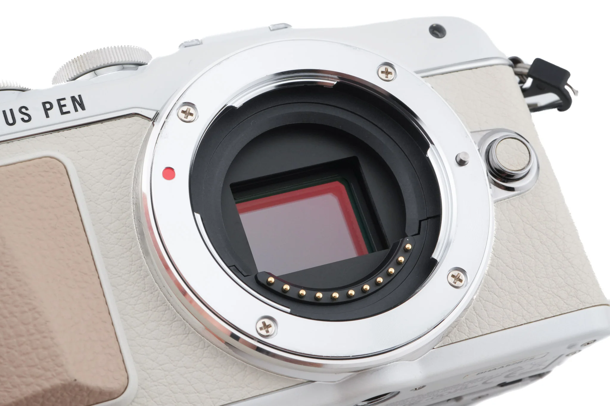 Olympus PEN E-PL7 - Image 7