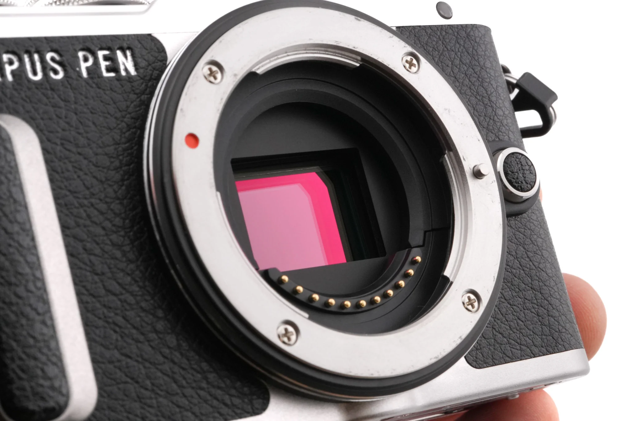 Olympus PEN E-PL8 - Image 5