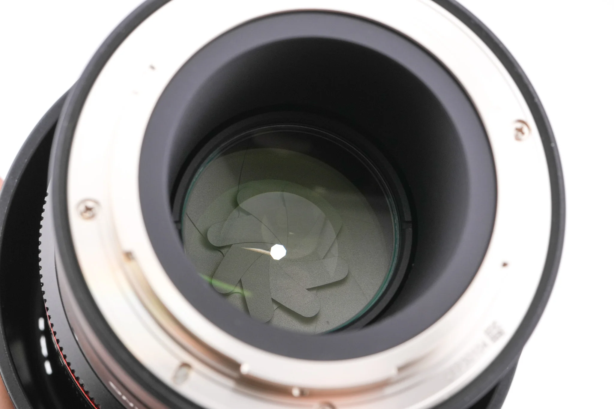 Samyang 85mm f1.4 MF - Image 7