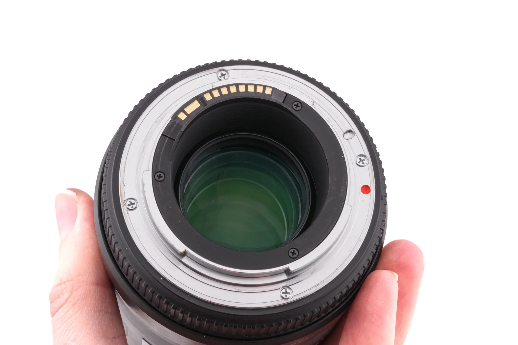 Sigma 105mm f2.8 EX DG Macro HSM OS - Image 6