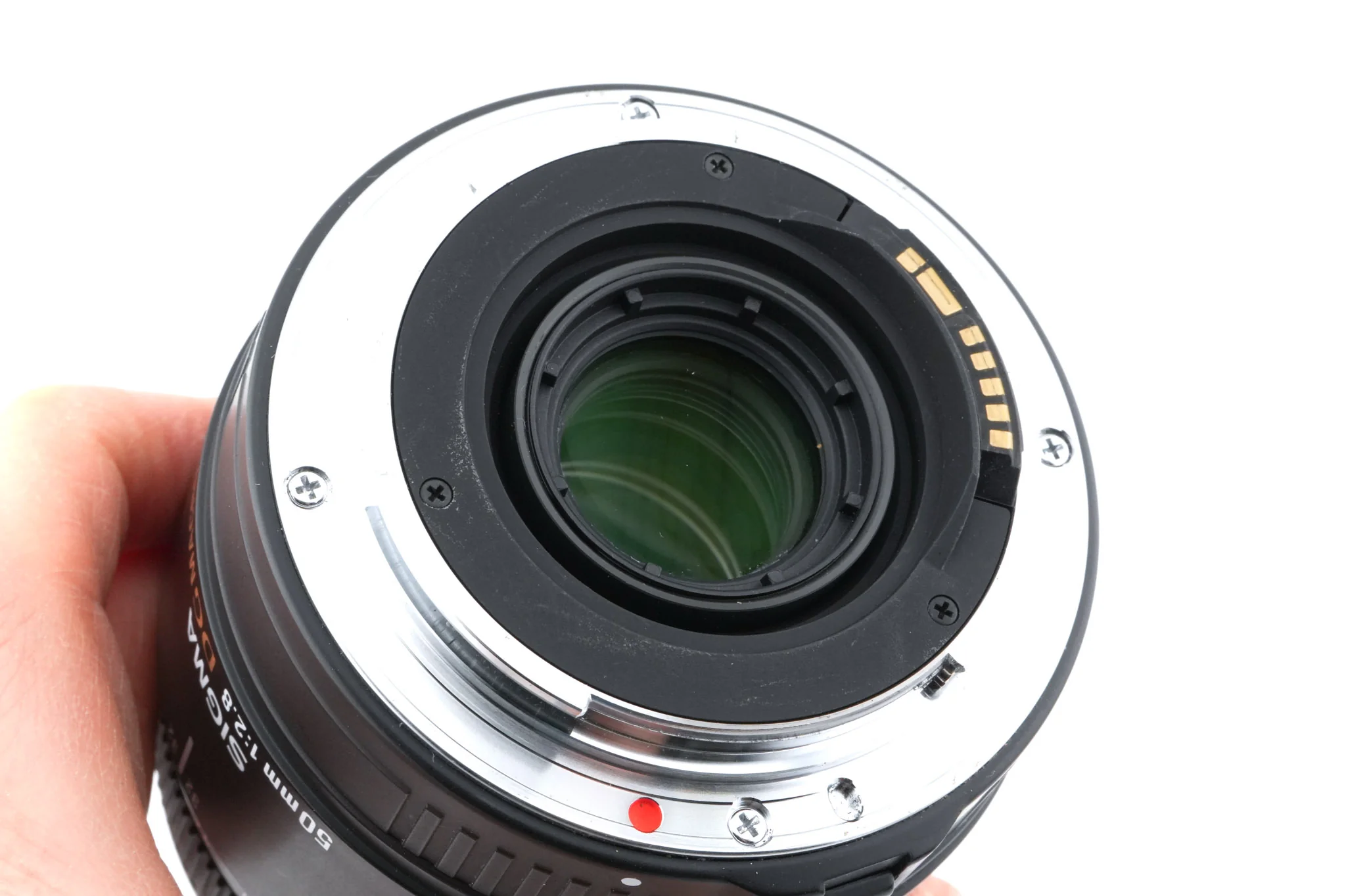 Sigma 50mm f2.8 EX DG Macro - Image 4