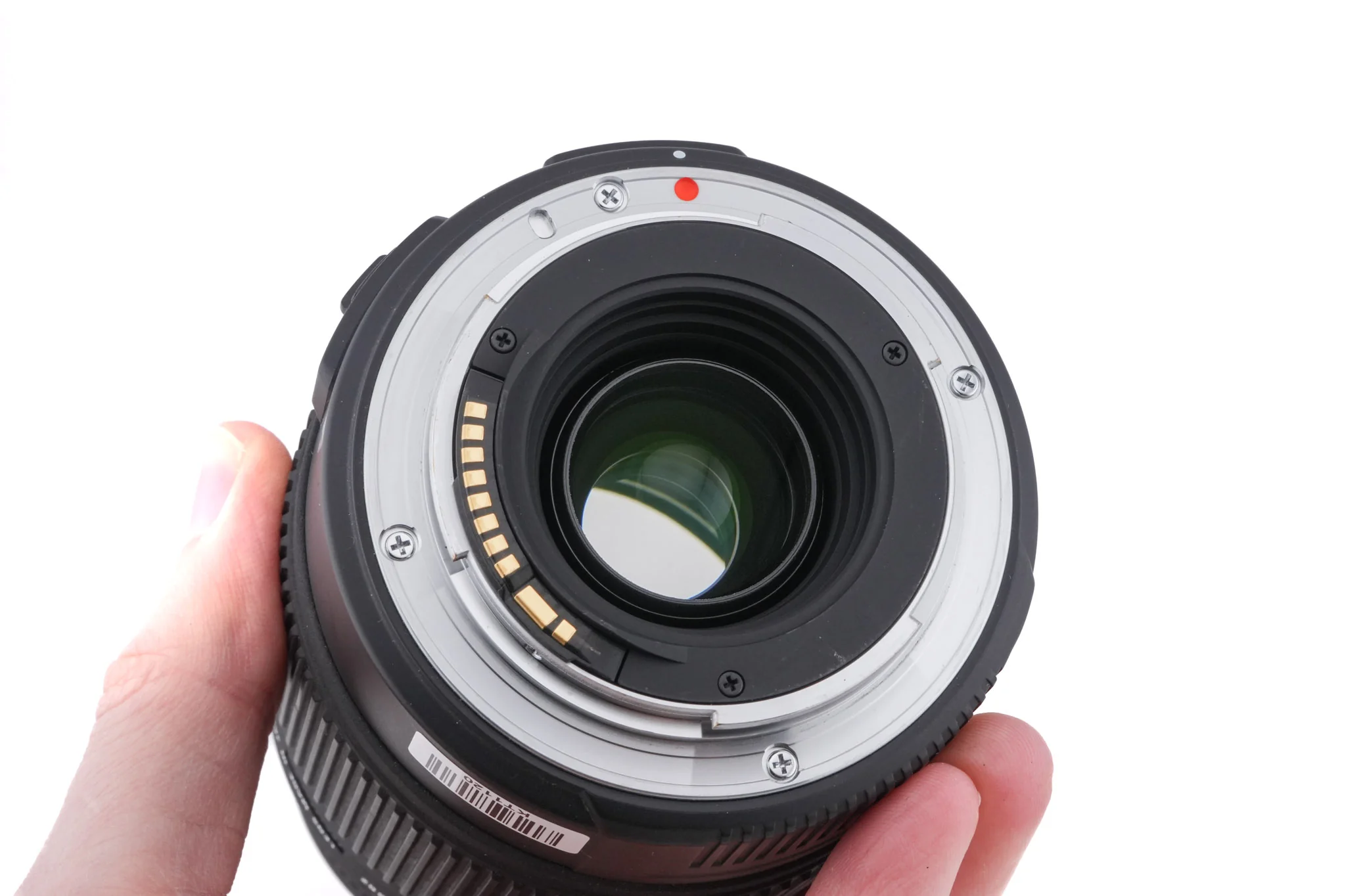 Sigma 70-300mm f4-5.6 DG Macro - Image 4