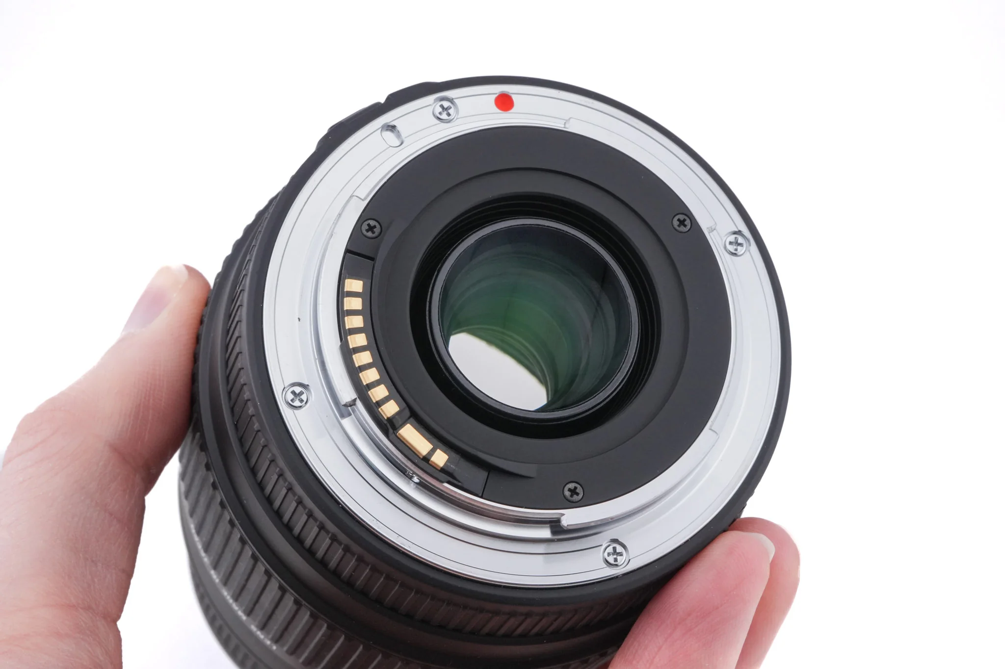 Sigma 70-300mm f4-5.6 DG Macro - Image 4