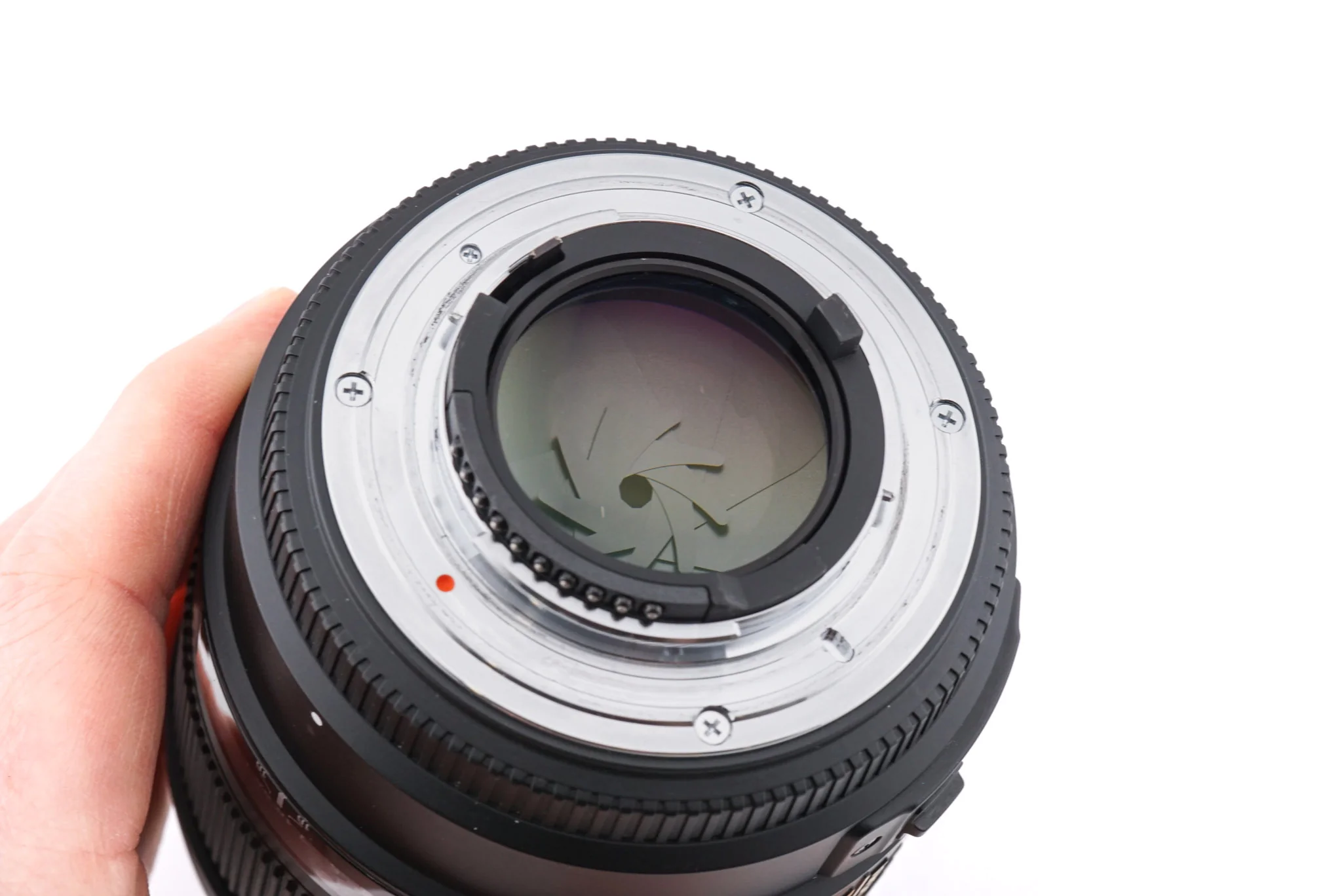 Sigma 85mm f1.4 EX DG HSM - Image 6