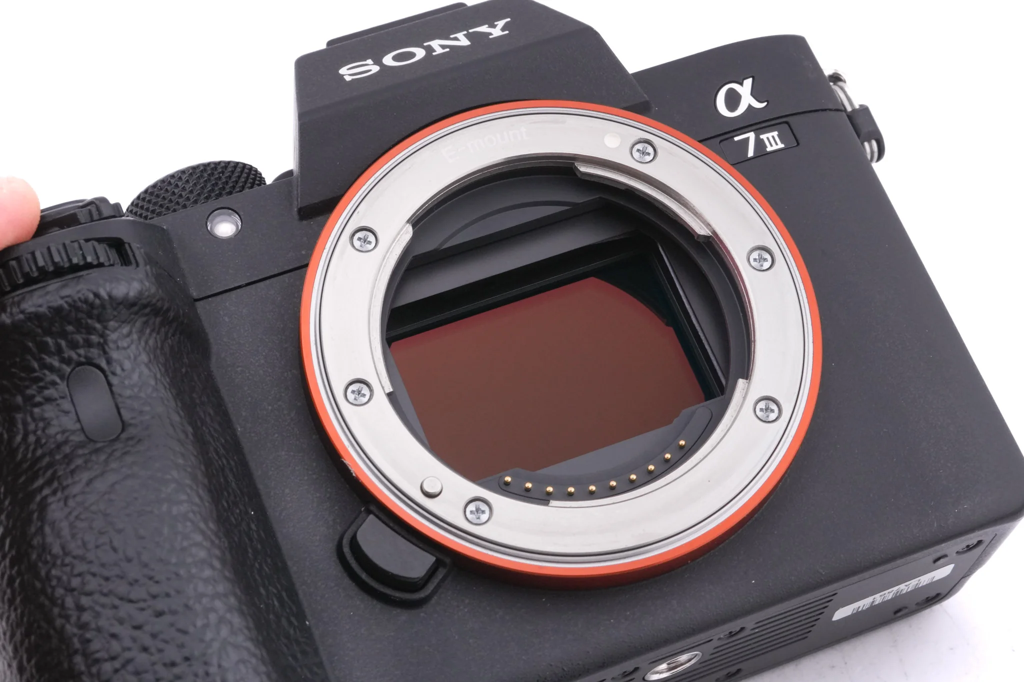 Sony A7 III - Image 6