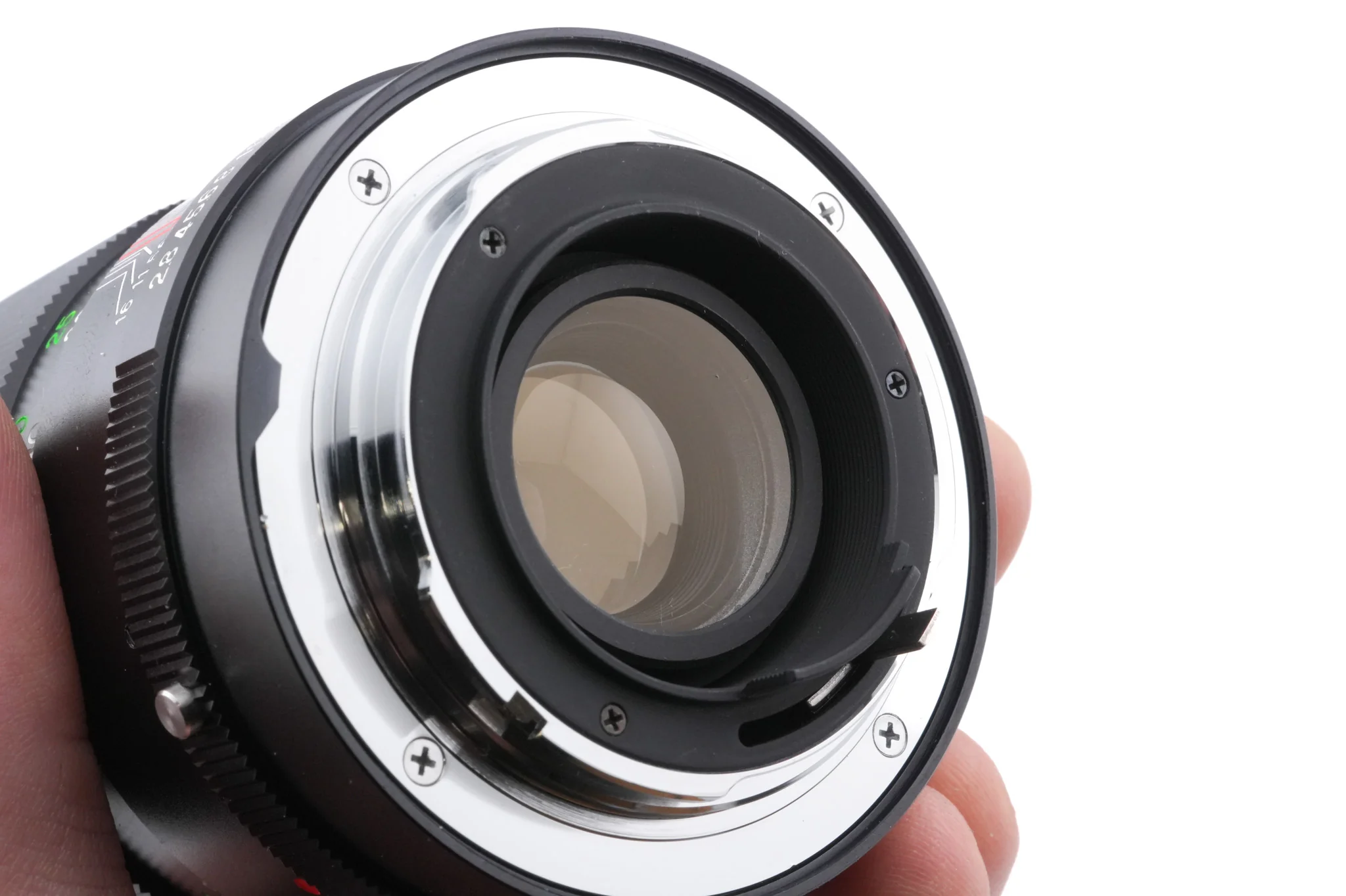 Vivitar 135mm f2.8 Auto Telephoto - Image 6