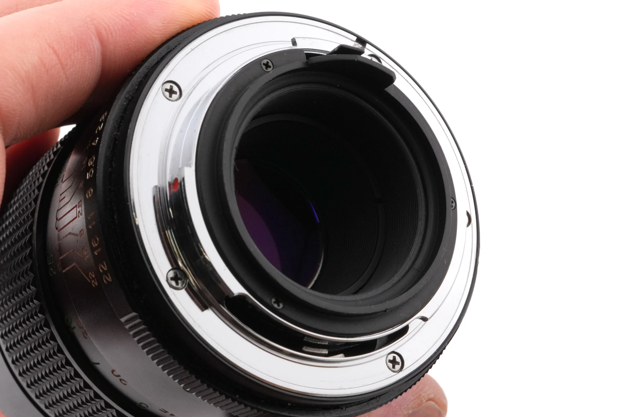 Vivitar 135mm f2.8 Auto Telephoto - Image 4